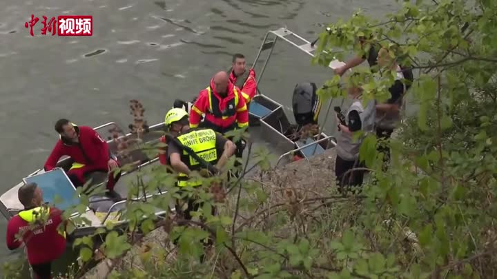 白鲸意外现身法国塞纳河 救援人员展开救助