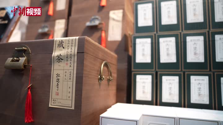 广西八旬六堡茶老匠人收徒 传承60年制茶工艺