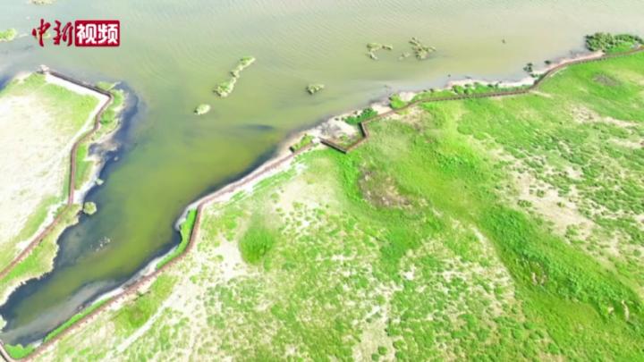 “飛閱”青海戈壁上的國家濕地公園