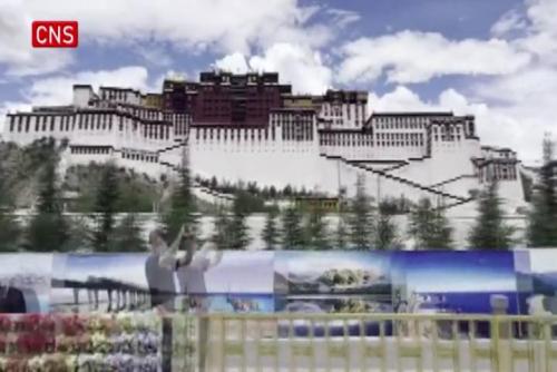 Potala Palace temporarily closed after COVID-19 reported in Tibet