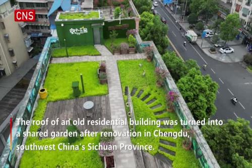 Old roof turned into shared garden in Chengdu
