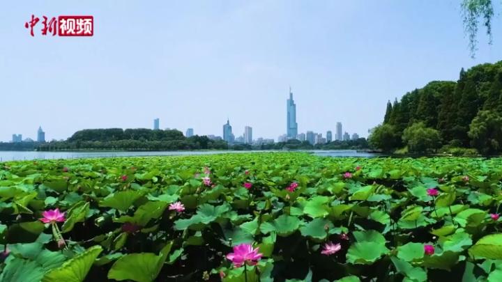 南京玄武湖公园迎来94岁生日 湖史馆向民众开放