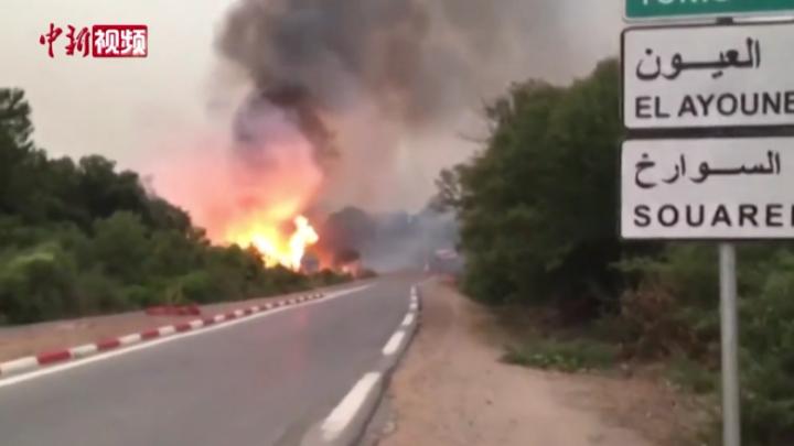 阿尔及利亚森林火灾已致37人死亡
