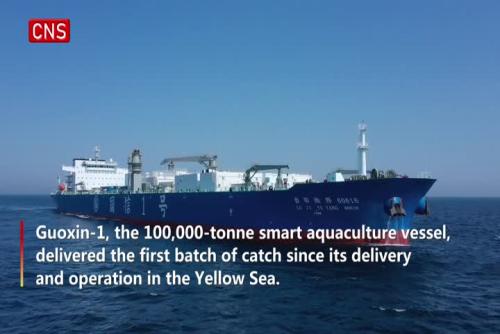 World's first 100,000-metric ton smart aquaculture vessel delivers first catch