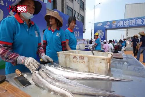 廣東舉辦首屆“曬魚節” 感受舌尖美味