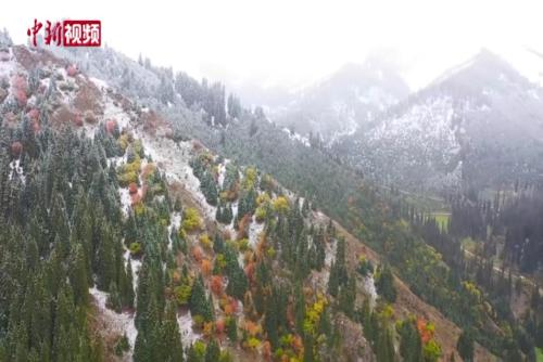新疆多浪峡谷：深秋遇初雪 