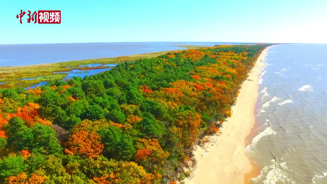 黑龙江密山:兴凯湖百里湖岗 "五花山色"醉游人-中新视频供稿系统