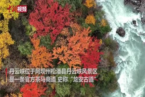四川丹云峽：秋山飛瀑 彩林絢爛