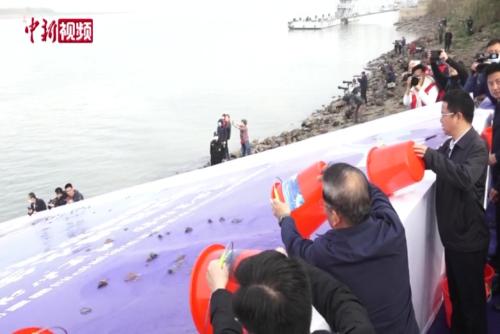 重点保护水生生物在长江南京段增殖放流
