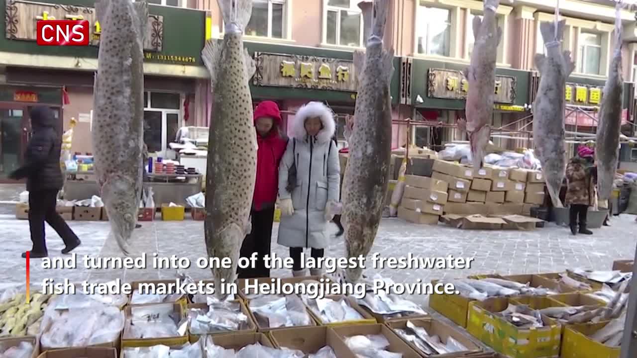 Dongji fish market in NE China's Heilongjiang