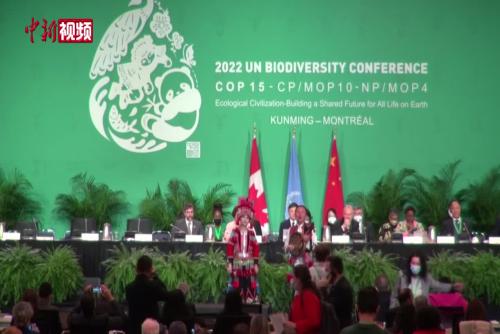 云南彝族海菜腔唱响联合国生物多样性大会