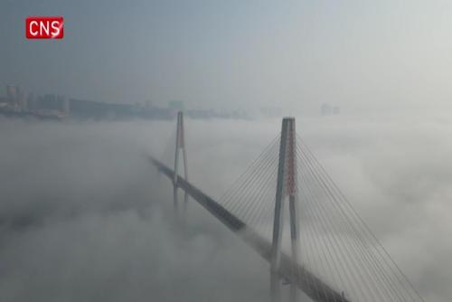 Bridge shrouded in advection fog in SW China's Chongqing