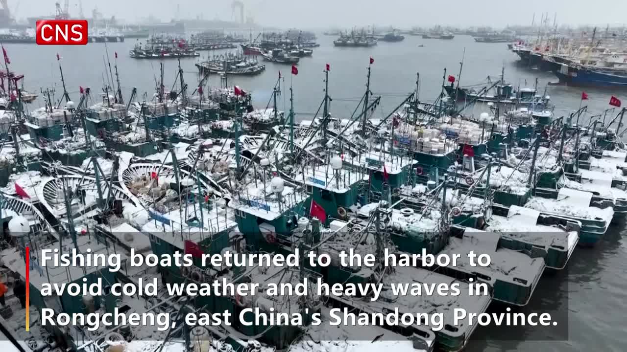 Fishing boats return to harbor to shelter from snowstorm in Shandong