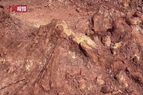 探访云南禄丰恐龙化石抢救性发掘现场