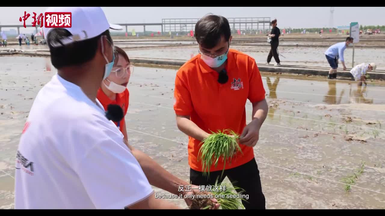 巴基斯坦留學生探訪海水稻研究中心