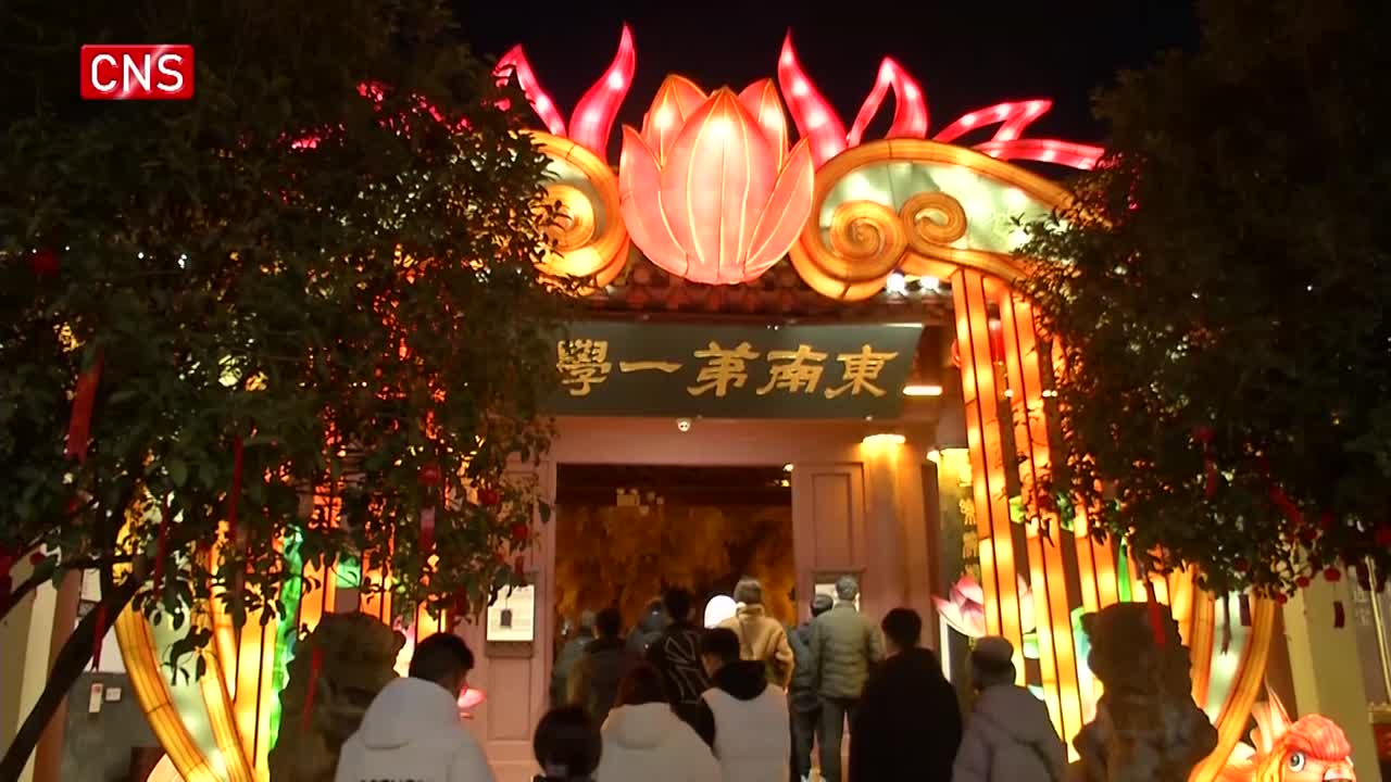 New Year's lantern show illuminates Nanjing