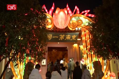 New Year's lantern show illuminates Nanjing