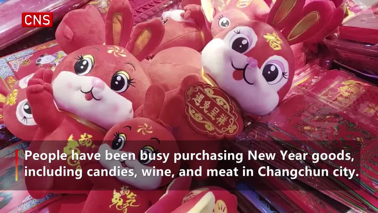 Locals prepare special purchases for Spring Festival in Changchun