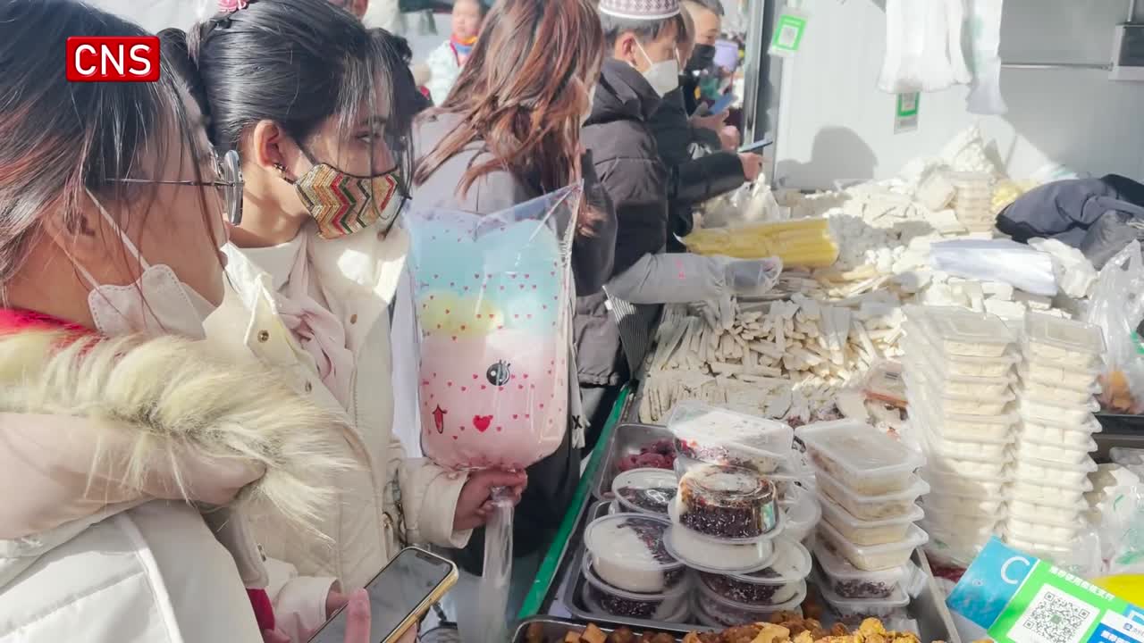 International students experience Spring Festival customs in NW China's Ningxia
