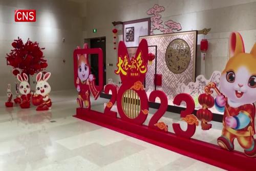 Cultural relics of Chinese zodiac signs on display in Henan 