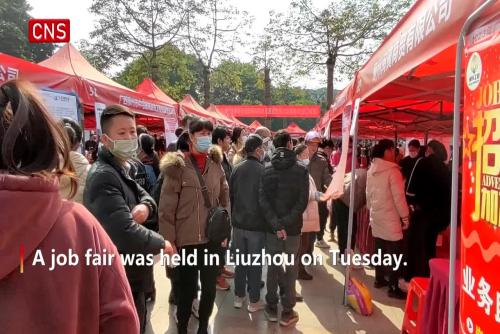 Job fair bolsters employment in China's Guangxi