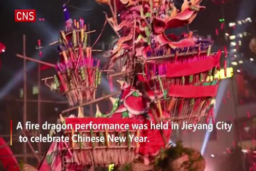 Fire dragon performance in Guangdong stuns visitors 