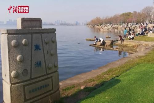 打卡武漢東湖：春色盎然 游人樂享春光