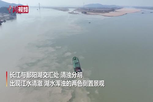 長江與鄱陽湖交匯處現江湖兩色倒置景觀
