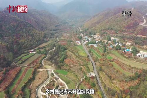 全国人大代表谈乡村振兴：农村各项惠民政策要实事求是解