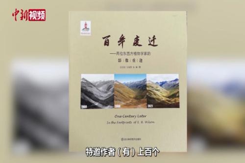 照片记录生态变迁：东西方植物学家跨越百年的“重逢”