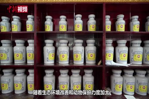 青海都蘭：依托資源稟賦 發展蒙藏藥產業
