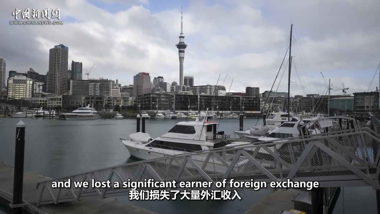 Insights丨Chinese tourists important to New Zealand: expert