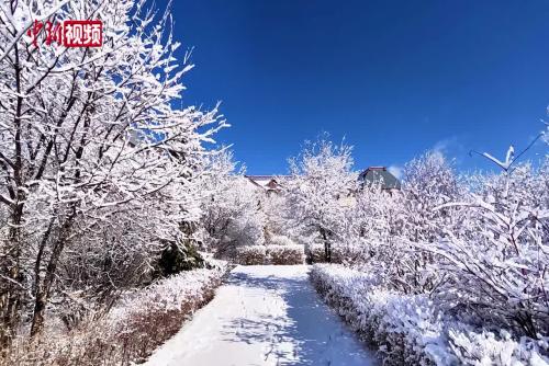 “中国冷极”迎春雪 秒变晶莹童话世界