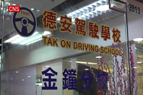Hong Kong driving schools plan to offer mainland traffic law courses as HK drivers apply to visit Guangdong via bridge 