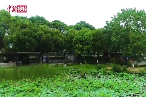 南京首個無障礙花園亮相南京玄武湖公園