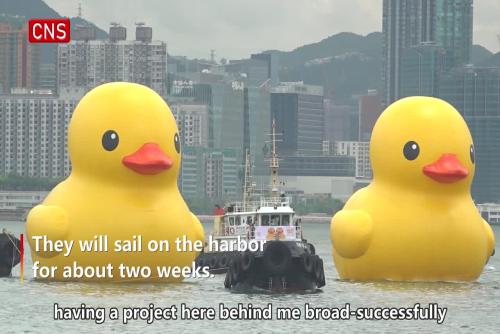 Giant rubber duck returns to Hong Kong - with a friend