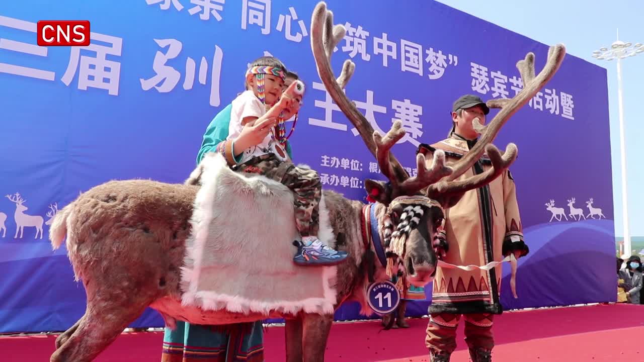 Reindeer race held in north China's Inner Mongolia