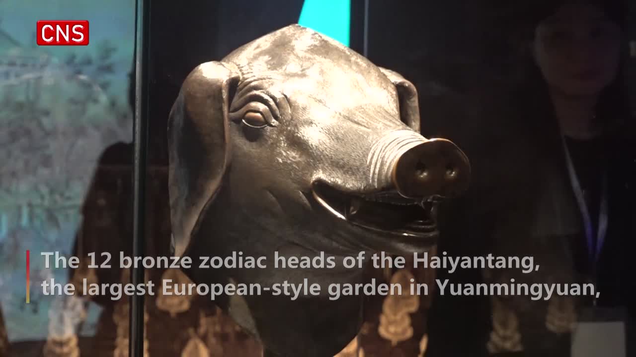 Four original zodiac heads from Yuanmingyuan exhibited in Hong Kong