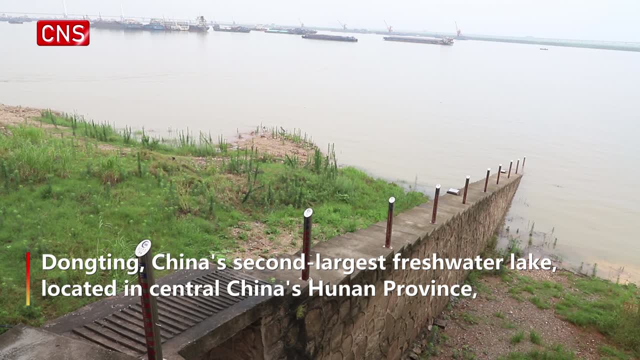 Water level of China's second-largest freshwater lake drops during main flood season