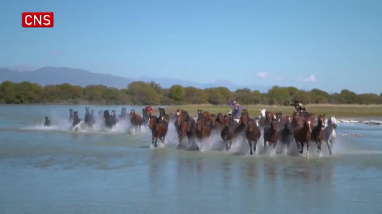 Spectacular views of 'heavenly horses bathing in the river' in Xinjiang