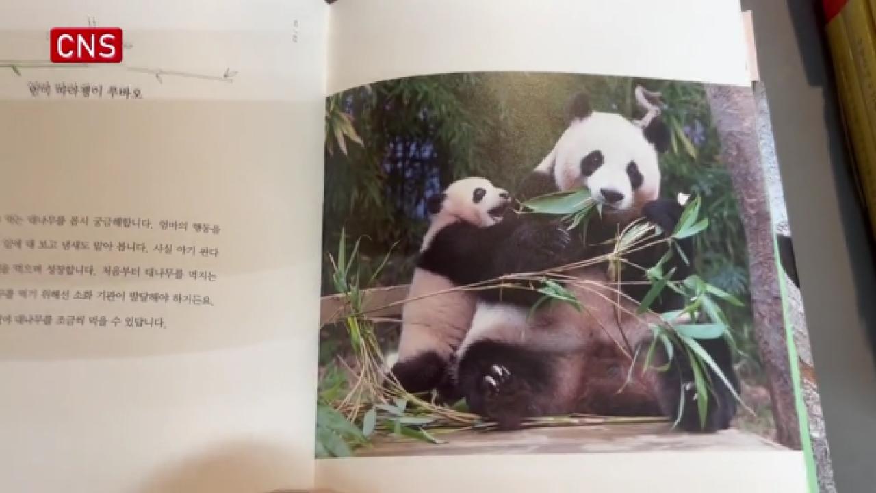 Giant panda Fu Bao's photo album sells well in South Korea