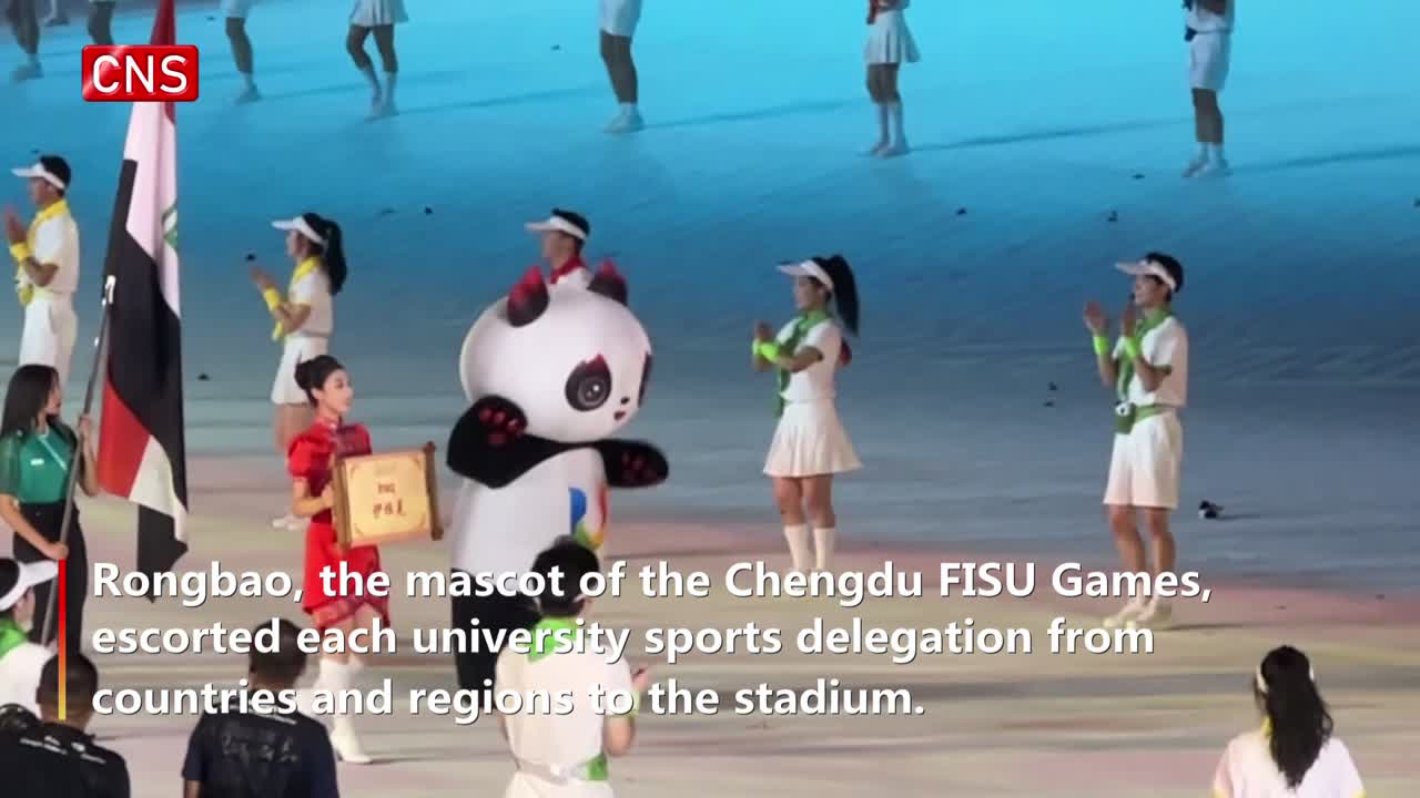 Chengdu Universiade mascot Rongbao brings joy and friendship