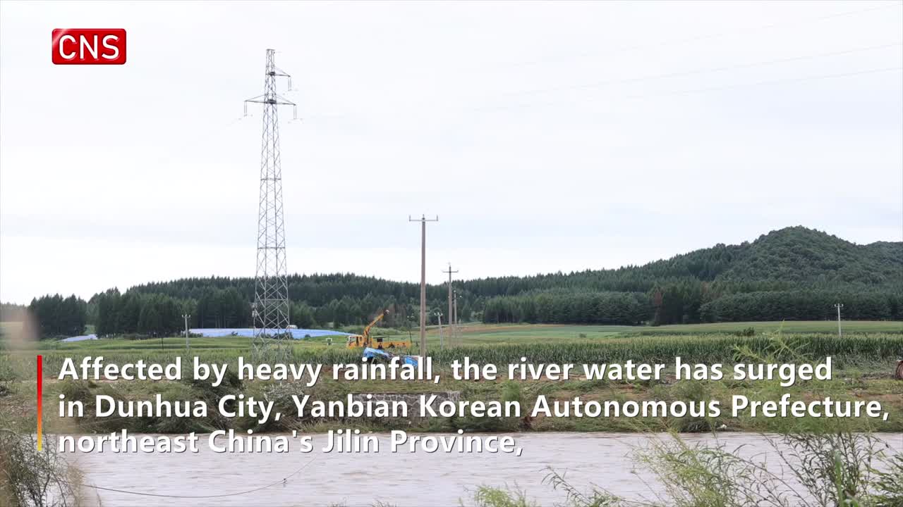 Power supply restored for over 1,000 households in NE China's Jilin