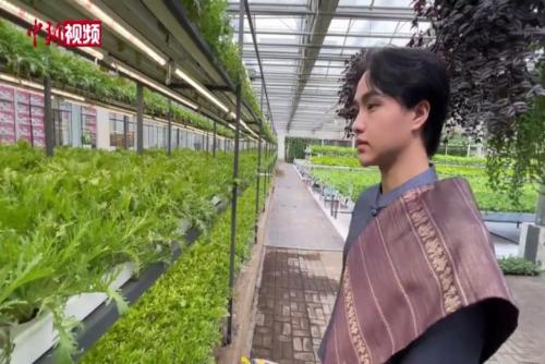 大為震撼！老撾留學生感受中國農業科技成果