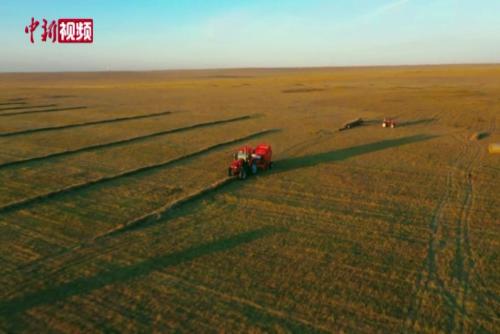 内蒙古：3000万亩打草场收割忙