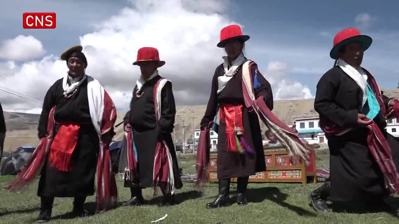 Tibetan peacock folk dance becomes unique part of traditional culture
