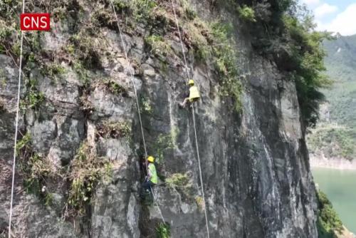 Cliff-side 'Spiderman' ensures safety at Three Gorges Reservoir area