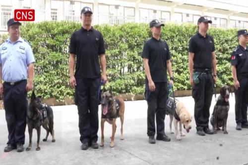 Police dogs compete practical skill training in Shanghai