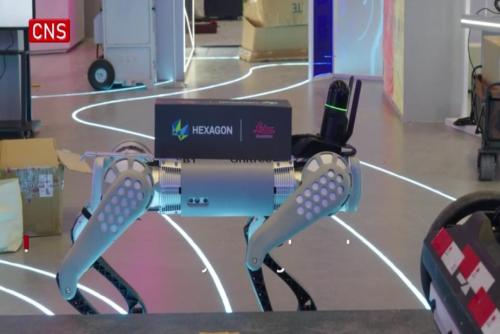 Intelligent robots showcased at China International Import Expo