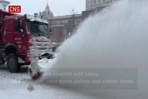 Northeast China's Heilongjiang sees first major blizzard